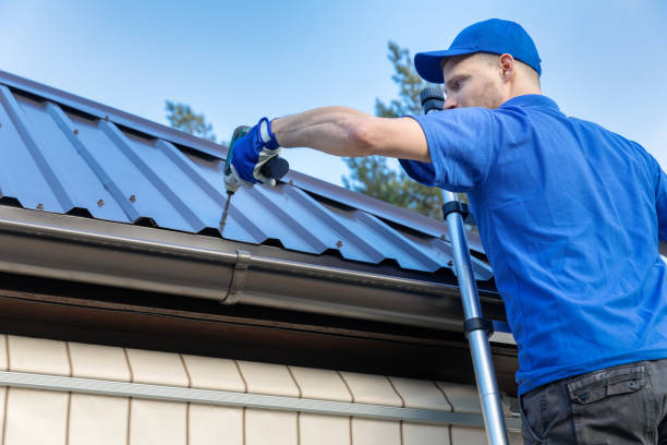 Best Skylight Installation and Repair  in Franklin, NC