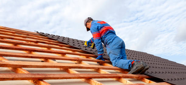 Best Asphalt Shingles Roofing  in Franklin, NC